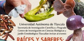 Disfruta del Festival Etnobiológico Tlaxcallan, en el Palacio de Cultura de Tlaxcala -AlternativaTlx