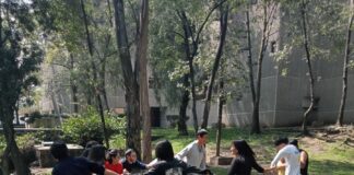 IberCultura Viva Lanza IberEntrelazando Experiencias, Convocatoria para el Intercambio Cultural -AlternativaTlx