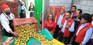 Presencia Gobernadora Salida de Producción de Jitomate de Empresa Tlaxcalteca a Walmart -AlternativaTlx