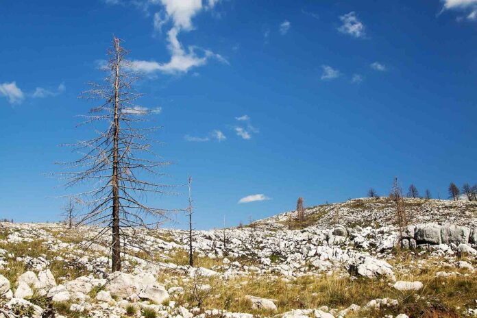 Cambio Climático Genera Altos Costos a los Países -AlternativaTlx