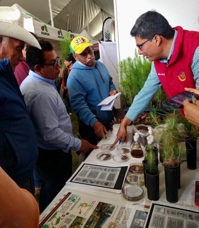 Contribuyen Investigadores de la UATx a la Restauración de Bosques de Coníferas - AlternativaTlx