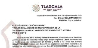 El Consejo Consultivo Estatal de Bienestar Animal es, en los Hechos, una Simulación -AlternativaTlx