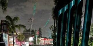 El Jarin Botánico Tizatlán Cerrará sus Puertas, Tras Afectaciones por Lluvias -AlternativaTlx