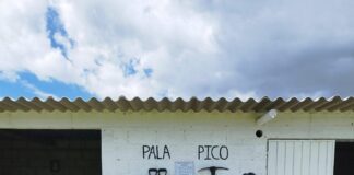 Emite CEPC Recomendaciones Sobre Uso de Fuegos Pirocténicos -AlternativaTlx