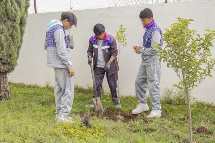 Fomento Ayuntamiento de Huamantla e ITJ Cultura Ecológica con más de 300 Árboles Donados -AlternativaTlx