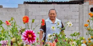 Se Pintan de Colores Hogares de Huamantla con Entrega Gratuita de Dalias -AlternativaTlx