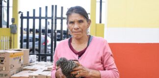 Con Esfuerzo Coordinado Entre Gobiernos, Reciben Familias de Huamantla Paquetes de Especies Menores -AlternativaTlx