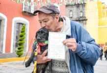 Feria de Adopción Canina en Huamantla Dio a Caninos una Nueva Vida -AlternativaTlx