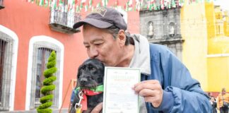 Feria de Adopción Canina en Huamantla Dio a Caninos una Nueva Vida -AlternativaTlx