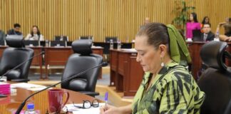 La Hora de la Colaboración Llegó para el INE en Aras del Interés Superior -AlternativaTlx