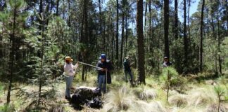 Realizan Estudiantes de Biología de la UATx Monitoreo de Biodiversidad del Bosque en San Juan Cuauhtémoc - AlternativaTlx