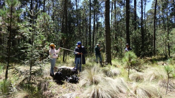 Realizan Estudiantes de Biología de la UATx Monitoreo de Biodiversidad del Bosque en San Juan Cuauhtémoc - AlternativaTlx