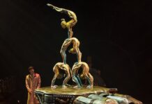 Última Oportunidad para Experimentar Kurios de Cirque du Soleil en Guadalajara -AlternativaTlx