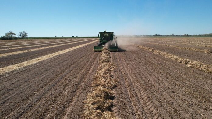 Anuncia la Secretaria de Agricultura “Estrategia Nacional de Transición Agroecológica 2024 – 2030”, Ante Agrónomos de UAM -AlternativaTlx