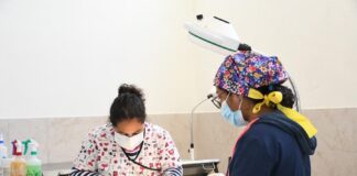 Clínica Biofílica: Un Año de Acciones en Favor de la Salud Animal en Huamantla -AlternativaTlx