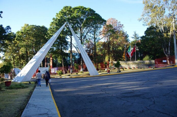 Emite UATx su Convocatoria de Ingreso Ciclo II Primavera 2025 - AlternativaTlx