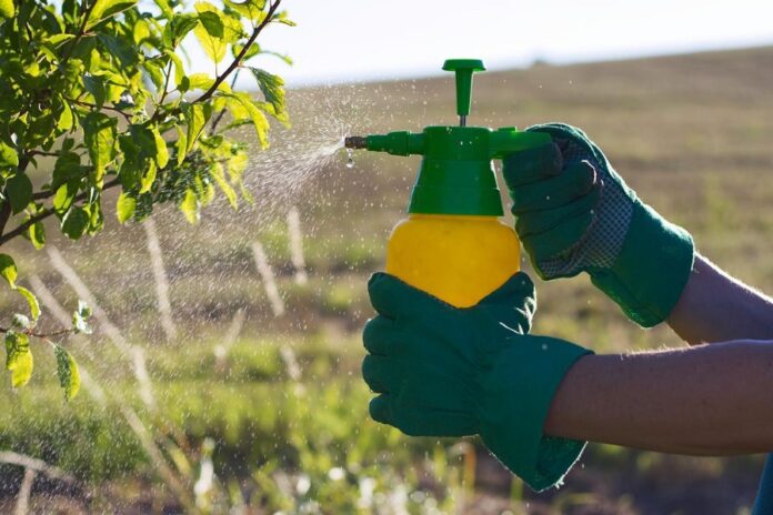 Fundamental el Uso de Tecnología Fitosanitaria para Incrementar Producción de Alimentos UMFFAAC -AlternativaTlx