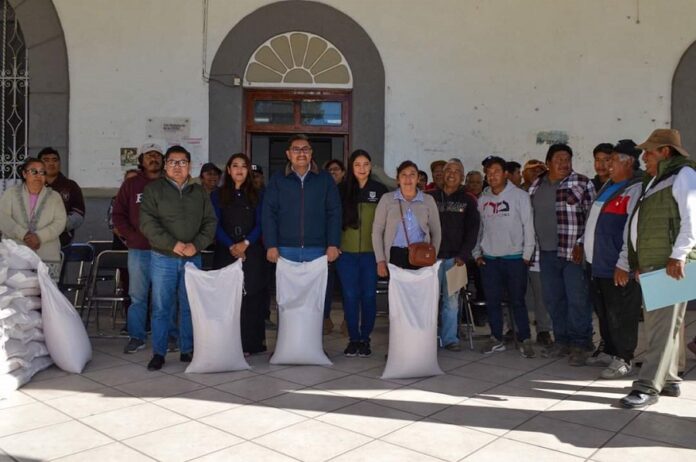 Gobierno Municipal de Zacatelco Entrega Semilla de Avena con un 50% de Descuento para Beneficiar al Campo Local -AlternativaTlx