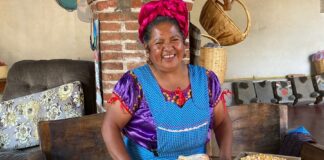 La Cocina es Amor, Química, Tradición, Historia, Subsistencia y Resistencia, Conclusiones del Foro Digital “Cocineras Tradicionales” -AlternativaTlx