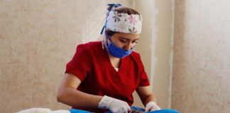 Módulo Canino de Zacatelco Anuncia dos Fechas para Esterilización de Perros y Gatos -AlternativaTlx