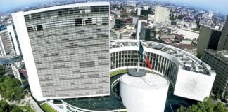 OCPA Transmite Inquietud de Más de 140 ONG Animalistas a la Senadora Anabell Ávalos -AlternativaTlx