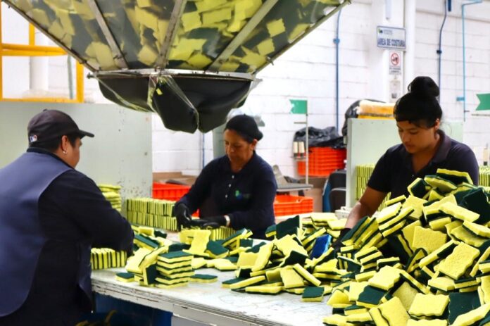 Se Generaron 638 Puestos de Trabajo Formales en Octubre: STYC -AlternativaTlx