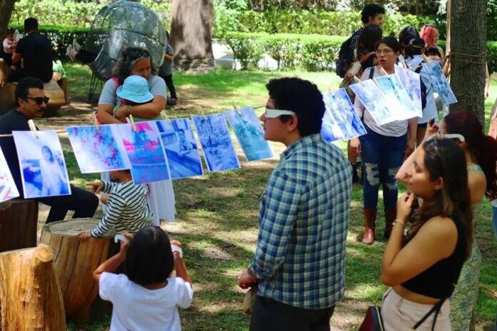 Semilleros Creativos Invita a Formar Parte de sus “Tiempos de Cosecha” -AlternativaTlx