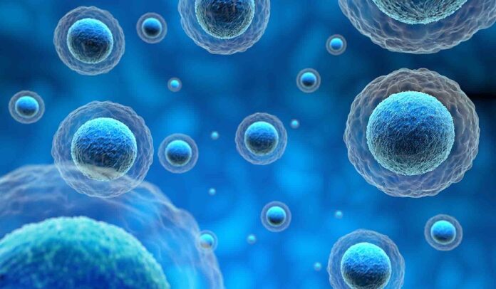 Trasplantes de Médula Ósea, una Oportunidad de Vida -AlternativaTlx