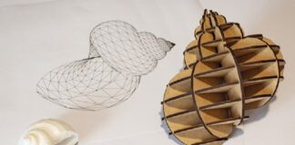 Anima Terra Explora la Relación Entre Tecnología, Arte y Naturaleza -AlternativaTlx