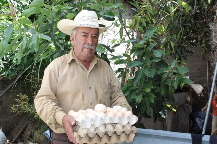 Entregó FOMTLAX Mil 306 Créditos a Mypimes de Tlaxcala este Año -AlternativaTlx