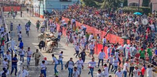 Huamantla se Prepara para la Adrenalina del Segundo Encierro Estilo Pamplona -AlternativaTlx