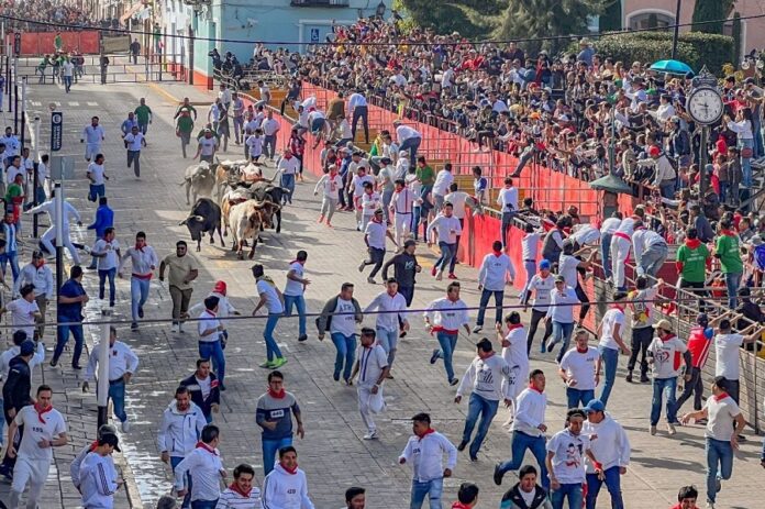 Huamantla se Prepara para la Adrenalina del Segundo Encierro Estilo Pamplona -AlternativaTlx