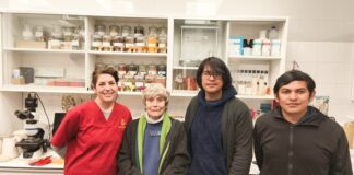 Artesano Tlaxcala Ignacio Netzahuaalcóyotl Participó en Intercambio Textil en España -AlternativaTlx