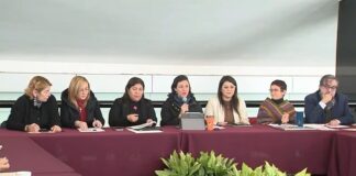 Con las Mesas Sobre Cine y Educación Cultural, Concluyen las Reuniones de Consulta Hacia el Programa Sectorial de Cultura -AlternativaTlx