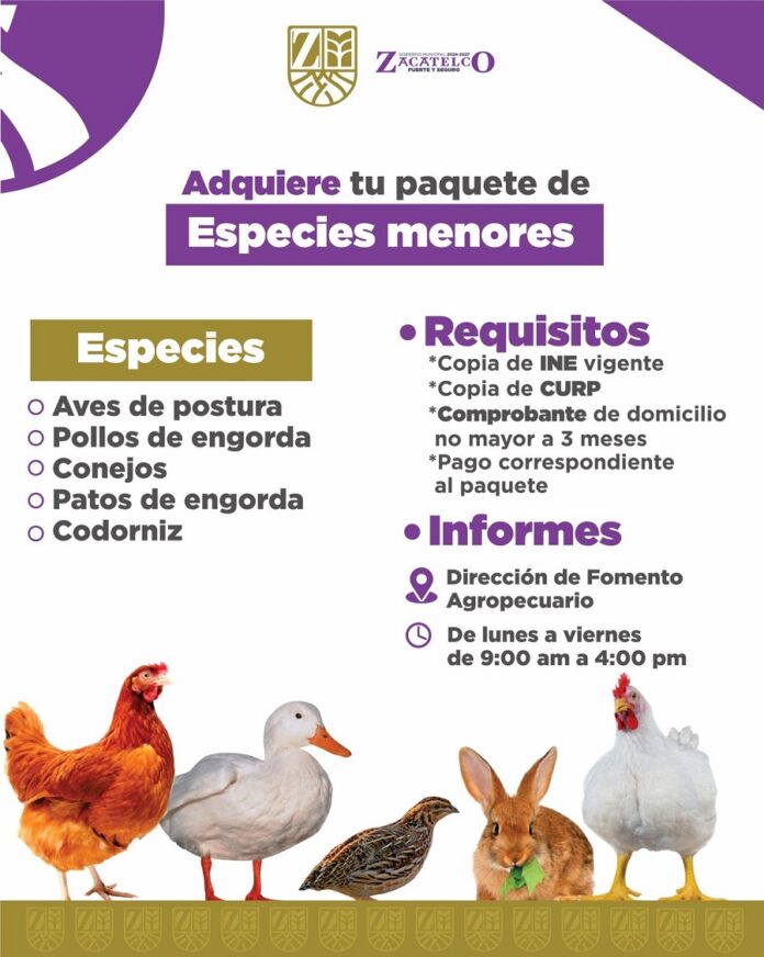 Convocatoria para Adquisición de Paquetes de Especies Menores en Zacatelco -AlternativaTlx