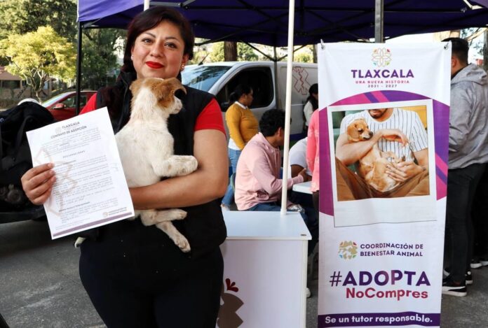 Coordinación de Bienestar Animal Realizó el Primer ADOGTAME 2025- AlternativaTlx