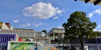 Corresponde Exclusivamente a la Federación Otorgar el RVOE de Estudios en Áreas de la Salud -AlternativaTlx