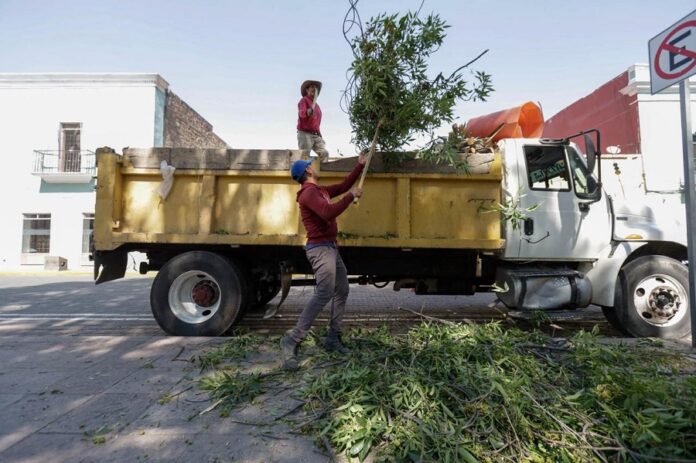 El Ayuntamiento de Tlaxcala Responde a la Ciudadanía: Inicia Labores de Poda y Mantenimiento en el Boulevard Revolución -AlternativaTlx