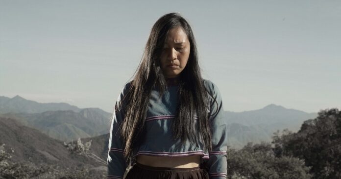 El Cortometraje Hikuri Trae al Presente una Leyenda Wixárika -AlternativaTlx El Cortometraje Hikuri Trae al Presente una Leyenda Wixárika -AlternativaTlx