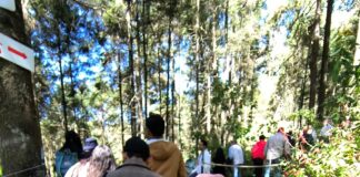 El INAH Invita al Público a sus Paseos Culturales de Febrero -AlternativaTlx