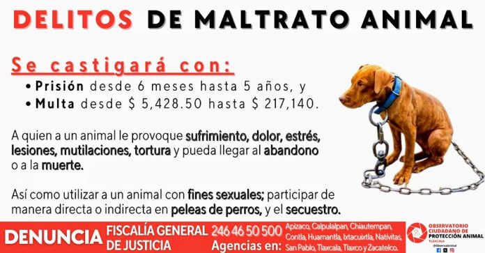 Es Necesario Conocer los Tipos de Delitos de Maltrato Animal y sus Sanciones -AlternativaTlx