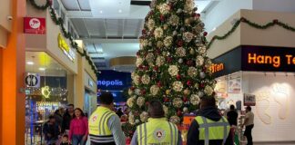 Implementa CEPC Operativo “Día de Reyes” -AlternativaTlx