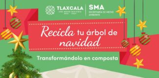Inicia SMA Campaña de Acopio “Recicla tu Árbol de Navidad” -AlternativaTlx