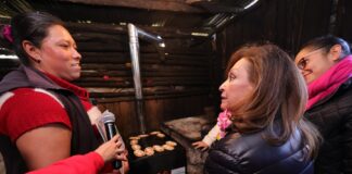 Programa de Estufas Ahorradoras de Leña Mejoran Calidad de Vida -AlternativaTlx