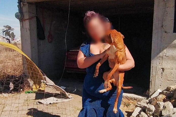 Rescata Unidad Canina de Huamantla a un Perro en Condiciones Desfavorables -AlternativaTlx