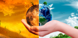 5 Datos de que el Cambio Climático es Real - AlternativaTlx