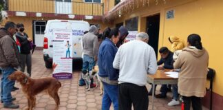 Bienestar Animal ha Realizado más de Seis Mil Esterilizaciones entre 2023 y 2024- AlternativaTlx