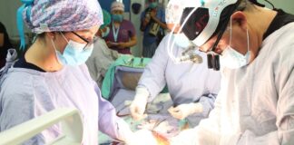 Corrigió Hospital Infantil de Tlaxcala 93 Cardiopatías Congénitas en 14 Meses- AlternativaTlx
