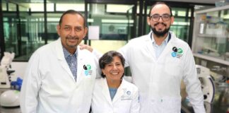 Desarrollan Innovador Tratamiento contra el Cáncer Cerebral - AlternativaTlx