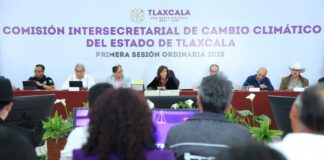 Gobierno Estatal Trabaja para Dejar un Legado en Materia Ambiental: Lorena Cuéllar- AlternativaTlx